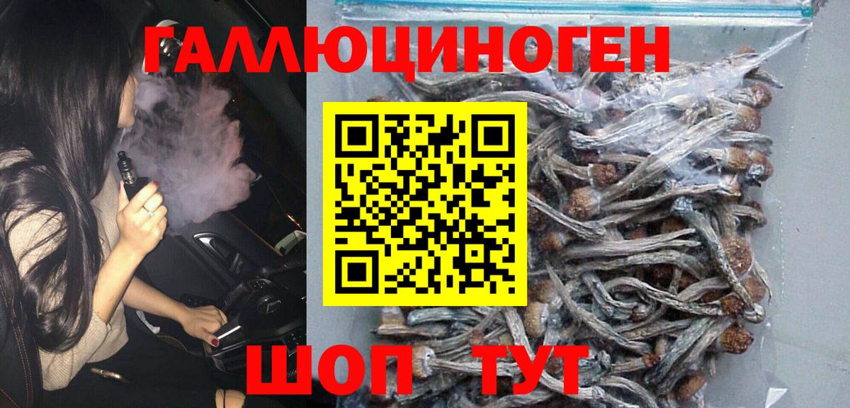 Комсомольск-на-Амуре  Псилоцибиновые грибы GOLDEN TEACHER  Вход с VPN 